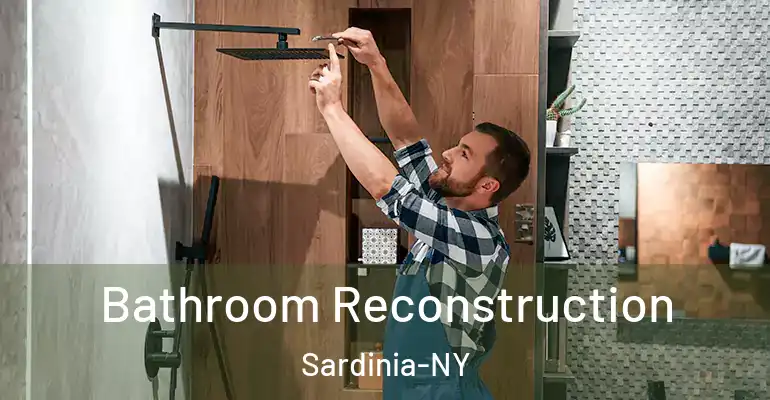 inner Bathroom imggen Bathroom Reconstruction Sardinia-NY
