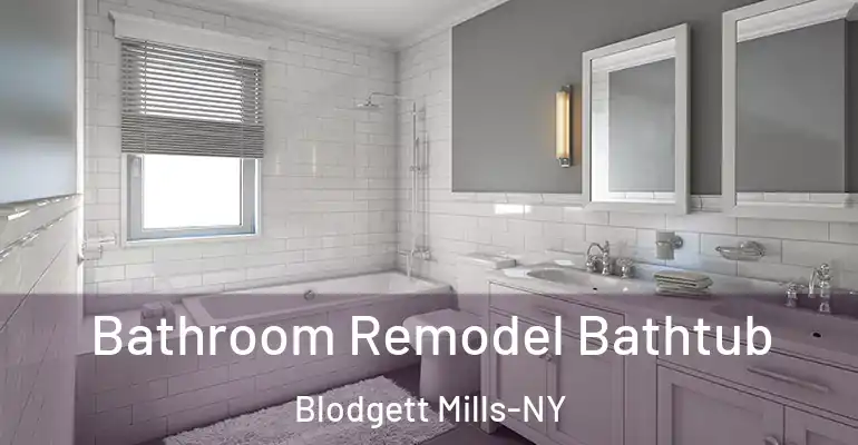 inner Bathroom imggen Bathroom Remodel Bathtub Blodgett Mills-NY