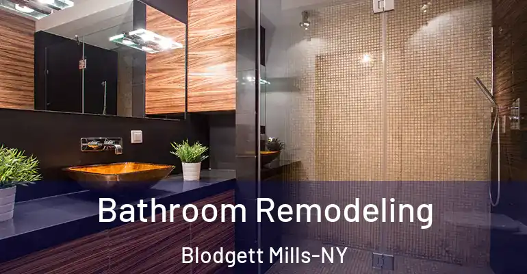 inner Bathroom imggen Bathroom Remodeling Blodgett Mills-NY