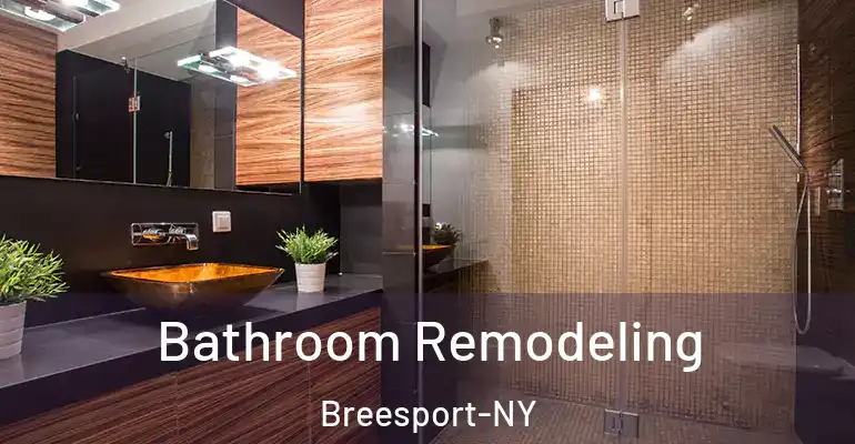 inner Bathroom imggen Bathroom Remodeling Breesport-NY