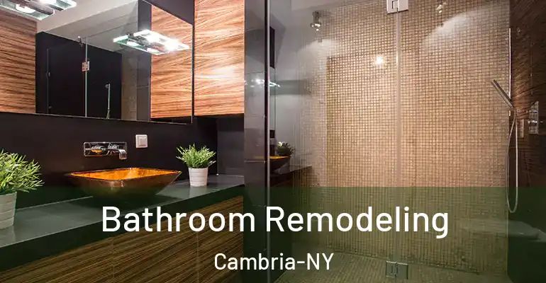 inner Bathroom imggen Bathroom Remodeling Cambria-NY