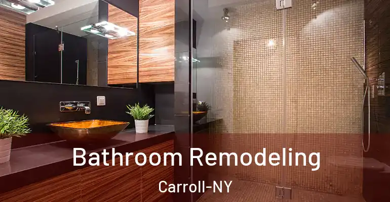 inner Bathroom imggen Bathroom Remodeling Carroll-NY