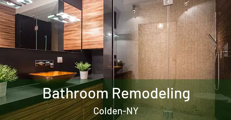 inner Bathroom imggen Bathroom Remodeling Colden-NY