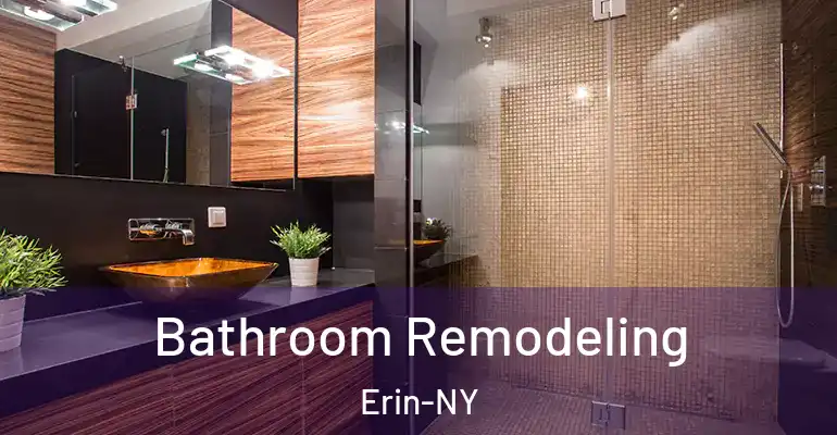 inner Bathroom imggen Bathroom Remodeling Erin-NY
