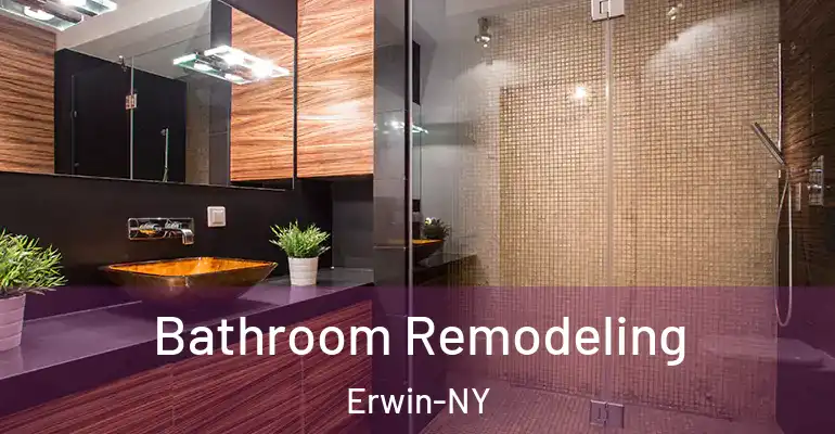 inner Bathroom imggen Bathroom Remodeling Erwin-NY