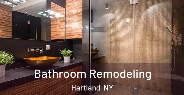 inner Bathroom imggen Bathroom Remodeling Hartland-NY