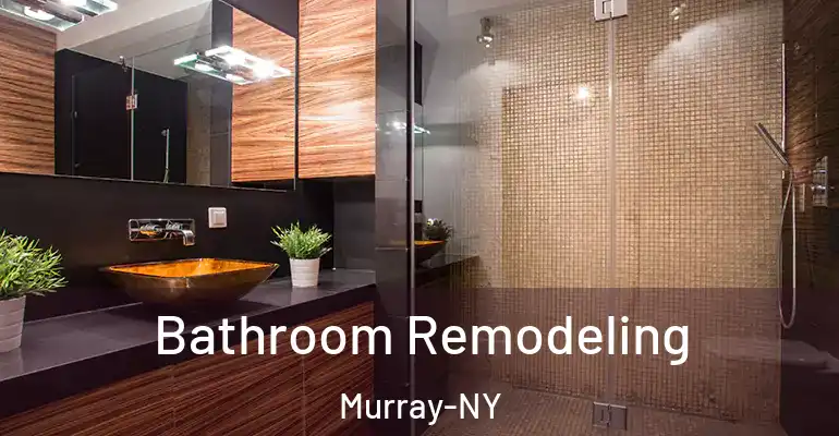 inner Bathroom imggen Bathroom Remodeling Murray-NY