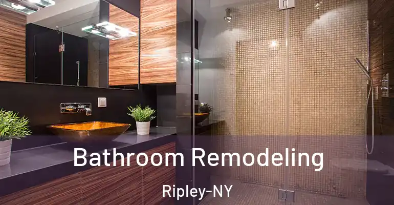inner Bathroom imggen Bathroom Remodeling Ripley-NY