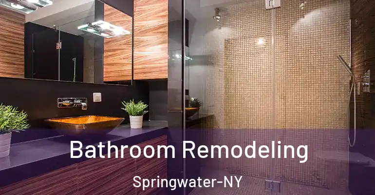inner Bathroom imggen Bathroom Remodeling Springwater-NY
