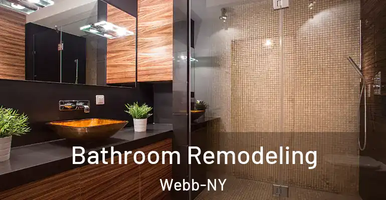 inner Bathroom imggen Bathroom Remodeling Webb-NY
