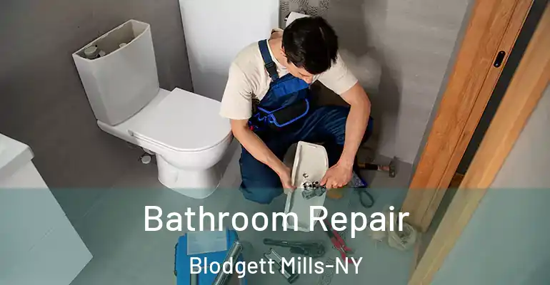 inner Bathroom imggen Bathroom Repair Blodgett Mills-NY
