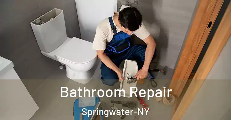 inner Bathroom imggen Bathroom Repair Springwater-NY