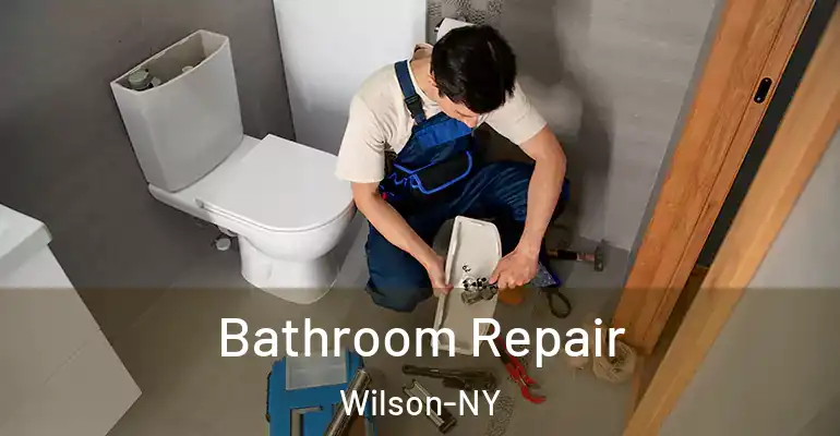 inner Bathroom imggen Bathroom Repair Wilson-NY