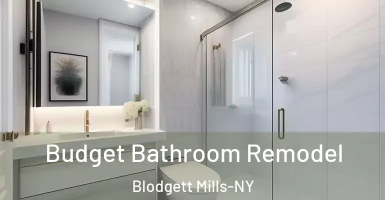 inner Bathroom imggen Budget Bathroom Remodel Blodgett Mills-NY