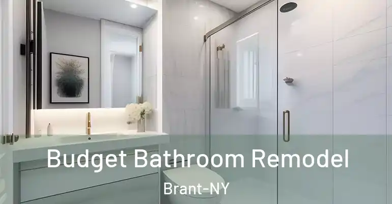 inner Bathroom imggen Budget Bathroom Remodel Brant-NY