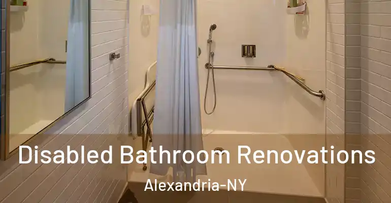 inner Bathroom imggen Disabled Bathroom Renovations Alexandria-NY