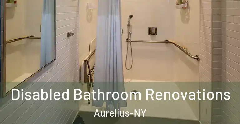 inner Bathroom imggen Disabled Bathroom Renovations Aurelius-NY