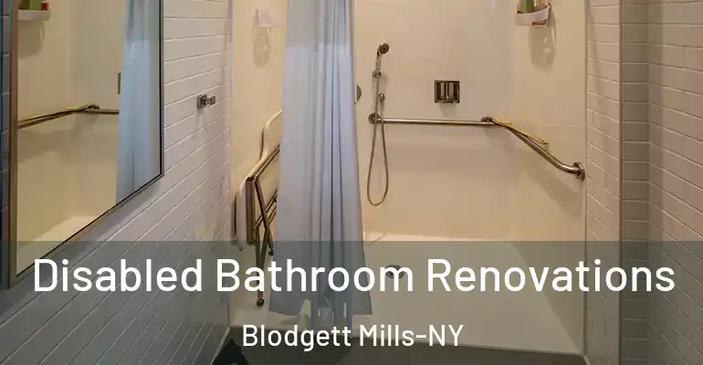 inner Bathroom imggen Disabled Bathroom Renovations Blodgett Mills-NY