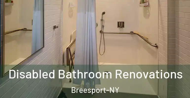 inner Bathroom imggen Disabled Bathroom Renovations Breesport-NY