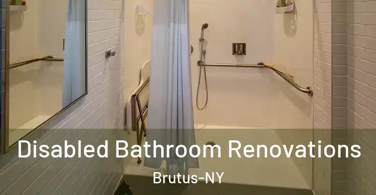 inner Bathroom imggen Disabled Bathroom Renovations Brutus-NY