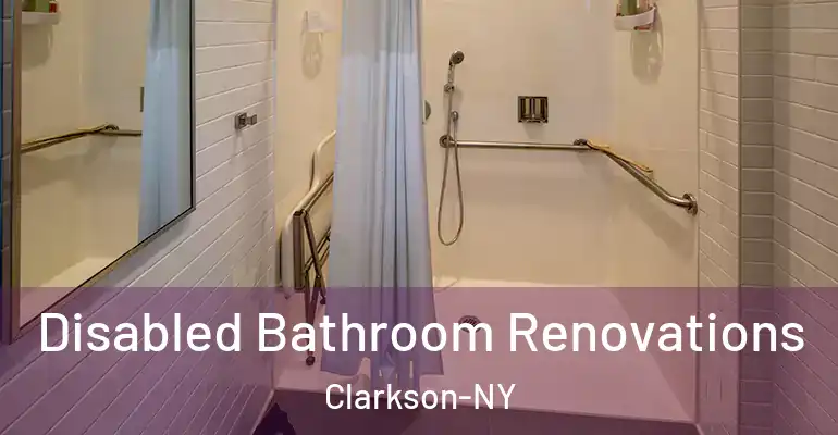 inner Bathroom imggen Disabled Bathroom Renovations Clarkson-NY