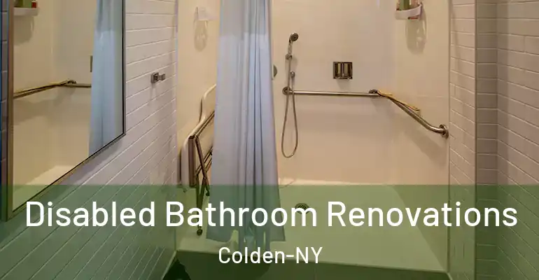 inner Bathroom imggen Disabled Bathroom Renovations Colden-NY