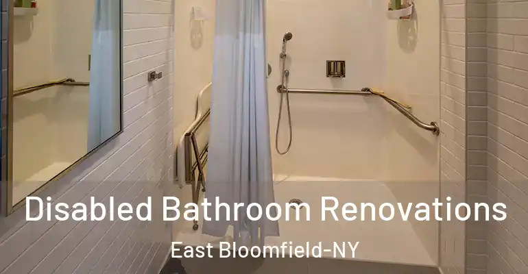 inner Bathroom imggen Disabled Bathroom Renovations East Bloomfield-NY