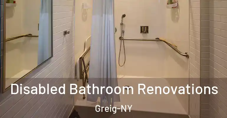 inner Bathroom imggen Disabled Bathroom Renovations Greig-NY