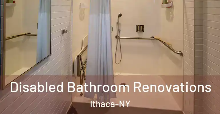 inner Bathroom imggen Disabled Bathroom Renovations Ithaca-NY