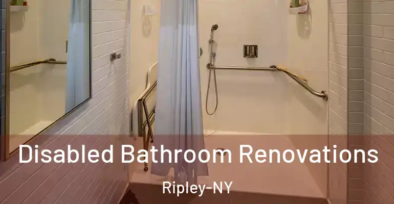 inner Bathroom imggen Disabled Bathroom Renovations Ripley-NY