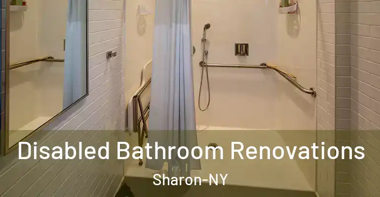 inner Bathroom imggen Disabled Bathroom Renovations Sharon-NY