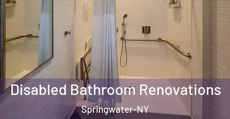 inner Bathroom imggen Disabled Bathroom Renovations Springwater-NY