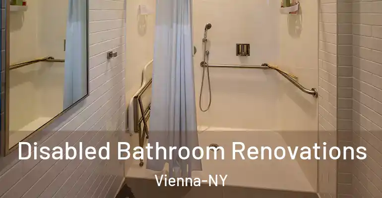 inner Bathroom imggen Disabled Bathroom Renovations Vienna-NY
