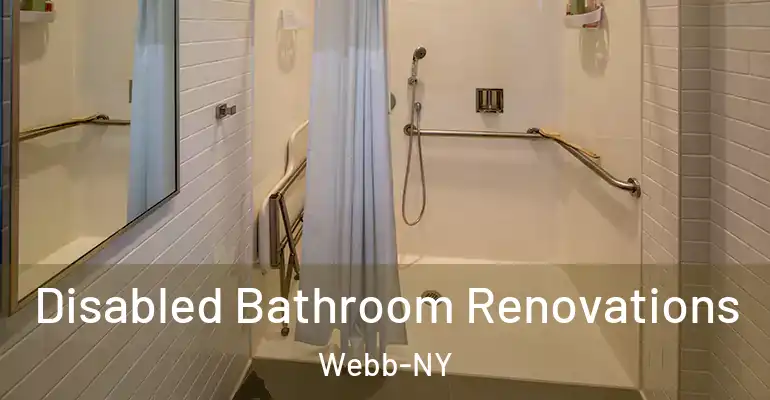 inner Bathroom imggen Disabled Bathroom Renovations Webb-NY