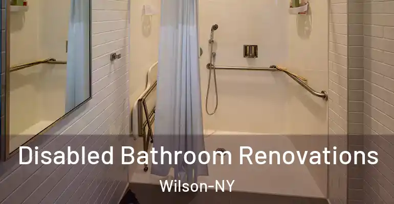 inner Bathroom imggen Disabled Bathroom Renovations Wilson-NY