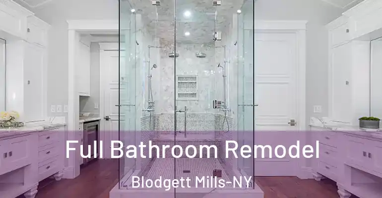 inner Bathroom imggen Full Bathroom Remodel Blodgett Mills-NY