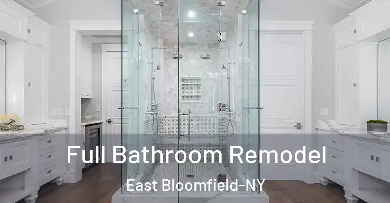 inner Bathroom imggen Full Bathroom Remodel East Bloomfield-NY