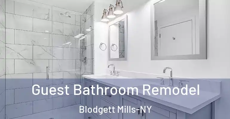 inner Bathroom imggen Guest Bathroom Remodel Blodgett Mills-NY