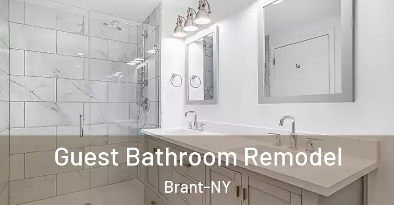 inner Bathroom imggen Guest Bathroom Remodel Brant-NY