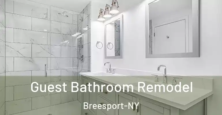 inner Bathroom imggen Guest Bathroom Remodel Breesport-NY