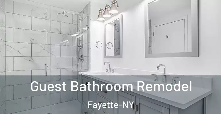 inner Bathroom imggen Guest Bathroom Remodel Fayette-NY
