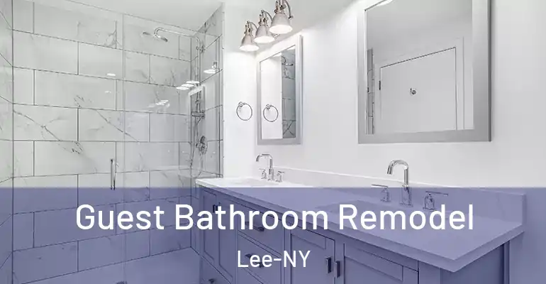 inner Bathroom imggen Guest Bathroom Remodel Lee-NY