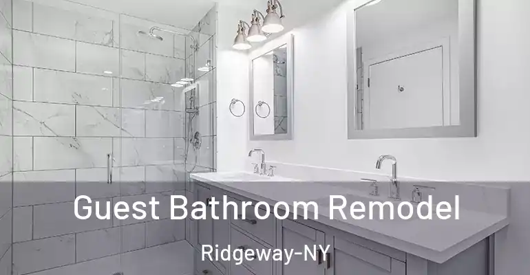 inner Bathroom imggen Guest Bathroom Remodel Ridgeway-NY
