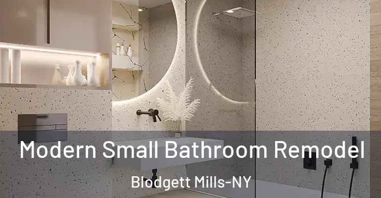 inner Bathroom imggen Modern Small Bathroom Remodel Blodgett Mills-NY