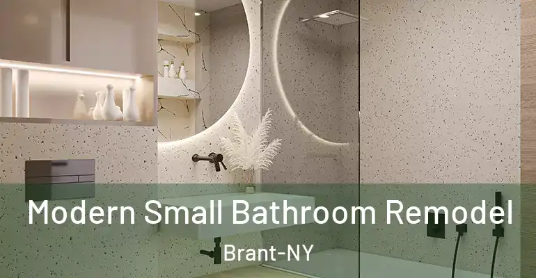 inner Bathroom imggen Modern Small Bathroom Remodel Brant-NY