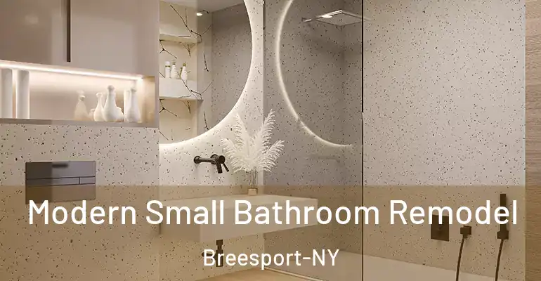 inner Bathroom imggen Modern Small Bathroom Remodel Breesport-NY
