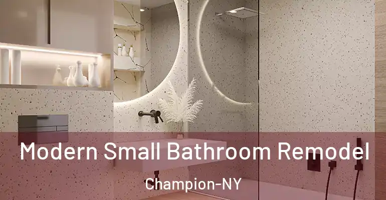 inner Bathroom imggen Modern Small Bathroom Remodel Champion-NY