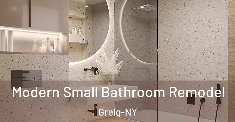 inner Bathroom imggen Modern Small Bathroom Remodel Greig-NY