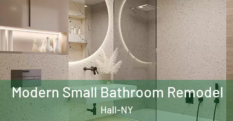 inner Bathroom imggen Modern Small Bathroom Remodel Hall-NY