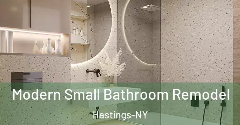 inner Bathroom imggen Modern Small Bathroom Remodel Hastings-NY